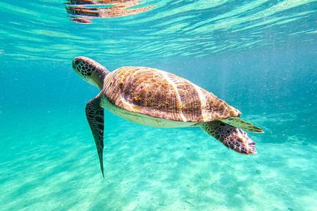 Full Day Tour to Angra dos Reis and Grand Island