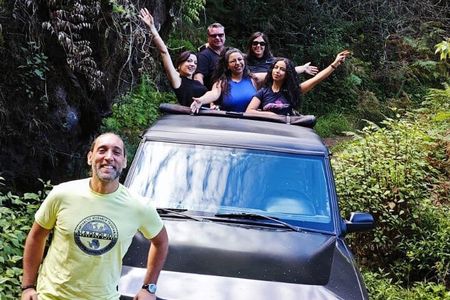 Madeira: Experiência 4WD Skywalk para Seixal Porto Moniz, Fanal