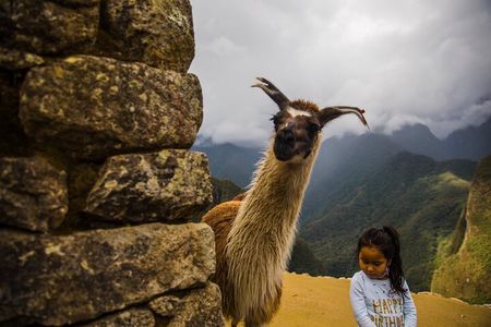 Sacred Valley & Machu Picchu: 2 Days-Journey