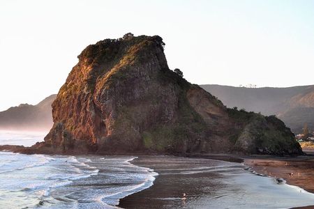 Piha Beach & Wilderness Nature : PRIVATE TOUR 8 hrs 