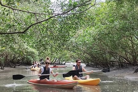 Kayaking to the mangroves 