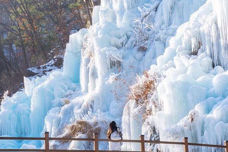 Eobi Valley, Alpaca World, Nami Island, Railbike/Garden fr Seoul