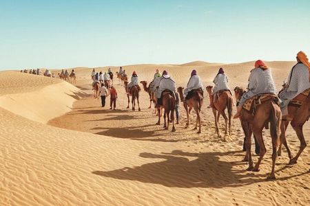 Douz Two Day Camel Trek with Overnight Camp in the Desert