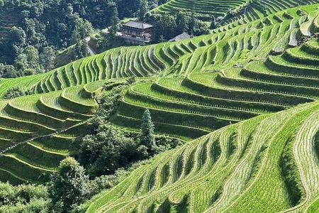 1-Day Longji Rice Terraces Tour from Guilin airport/train station