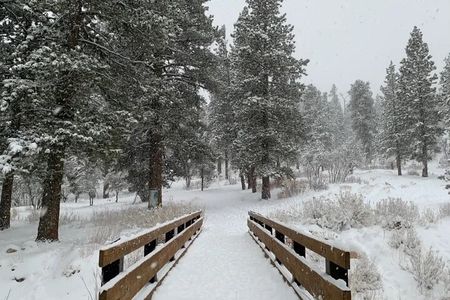 Ultimate Snowplay Adventure at Mount Charleston
