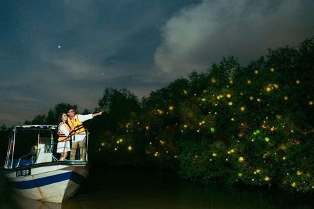 Kuala Selangor Fireflies Tour with Fort Altingsburg & Dinner