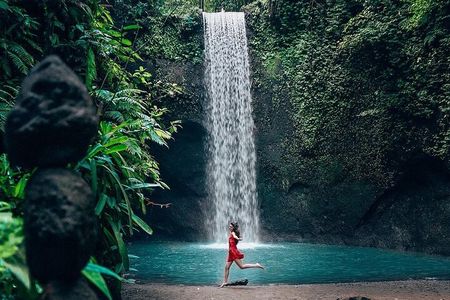 Ubud Hidden Gems Waterfall, Temple and Rice Terraces Private Tour
