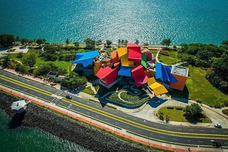 Miraflores canal Locks Amador causeway and Biomuseo private tour
