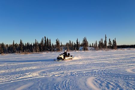 Guided Snowmobile Adventure