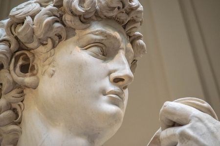 David & Accademia Gallery Florence Private Tour with Local Guide