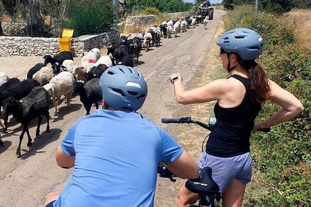 Lecce: E-Bike tour to Galatina with old olive mill & wine taste 