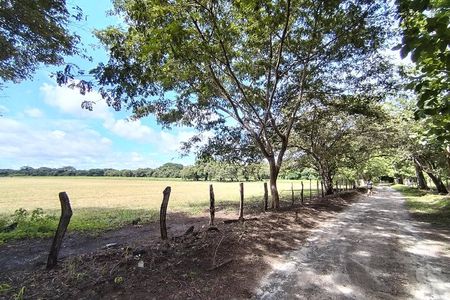 Mountain bike & River ride at Cañas Dulces - Liberia