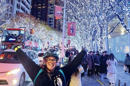 Tokyo Winter Illumination Ebike Tour