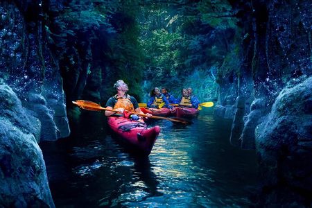 Tauranga: Evening Glowworm Kayak Tour