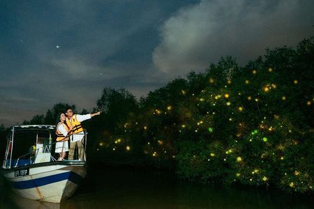 Kuala Selangor Fireflies Tour with Batu Caves & Fort Altingsburg