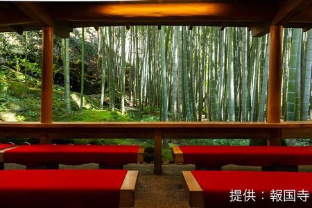 Kamkura: Private Zazen, Matcha at Bamboo Temple & Mindful Cuisine