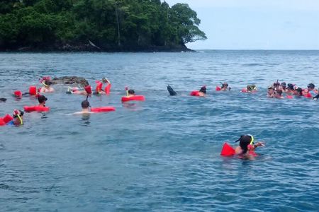 Snorkeling with whale and dolphin waching, Tour Manuel Antonio 