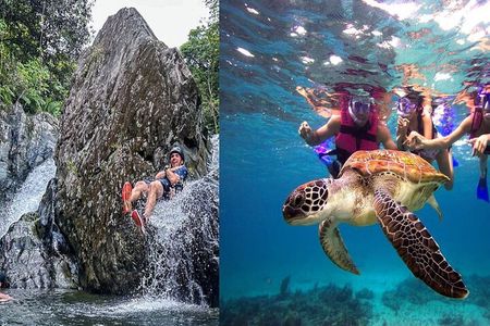 Combo El Yunque Rainforest and San Juan Snorkeling with Transport