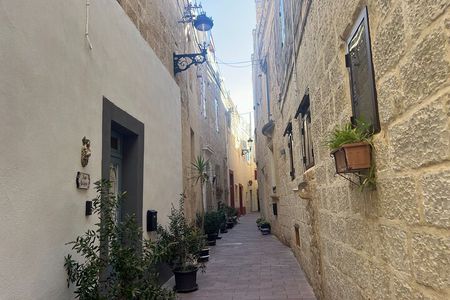Mdina and Rabat Walking Tour inc. Catacombs and St. Paul's Grotto