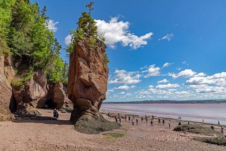 Saint John (NB) Bay of Fundy and Hopewell Rocks Private Tour