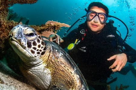 Scuba Diving in Rio de Janeiro