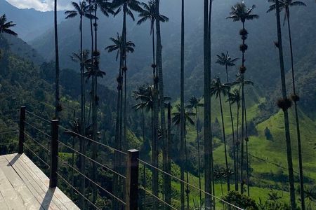 Cocora Valley Trekking Adventure with Typical Lunch