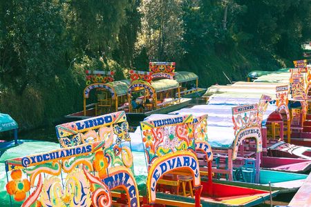 Xochimilco & Mexican Party with Guacamole & Unlimited Drinks