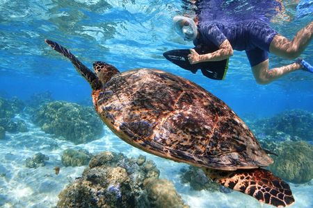 Sea Scooter Jet snorkeling "Moorea Reef Adventure"