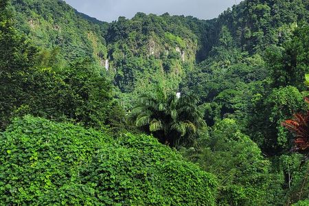 Dominica Scenic Waterfalls and Hot Springs @ Autop Tours