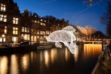  ‌Amsterdam‌ Light‌ ‌Festival‌ ‌Boat‌ ‌Tour‌ ‌ - Small Group