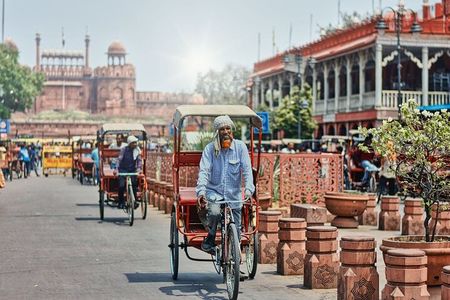 Delhi: Private Half-Day Delhi Temple Tour with Hotel Transfers