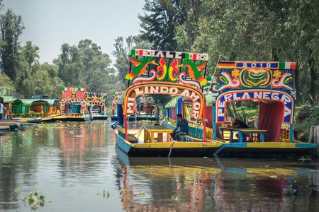 Tour of Xochimilco and Coyoacán, leaving from Mexico City