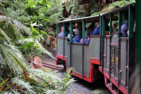 Coromandel Day Tour From Auckland