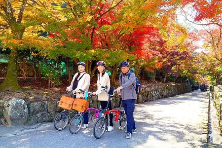 Slow Cycling Tour at Uji's Matcha Green Tea Fields and Heritage