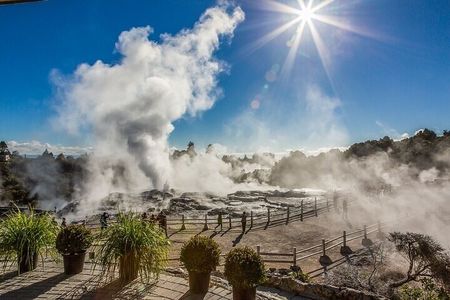Waitomo Glow Worm Caves & Te Puia - Rotorua's Geothermal Valley