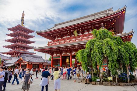 Tokyo Private Sightseeing Tour by Car - English speaking driver
