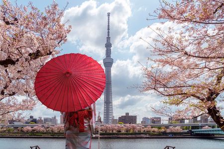 Tokyo Private Sightseeing Tour with English Speaking Chauffeur