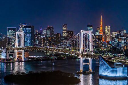 Tokyo Private Customizable Tour with English Speaking Chauffeur