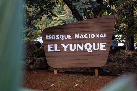 El Yunque Private Bus Tour 