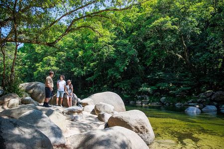 Daintree Rainforest and Cape Tribulation Day Tour from Cairns