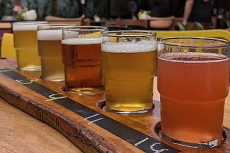 Albanian Craft Beer Tasting in Tirana with a Mix Pair Plater