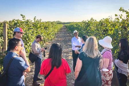 3-Day 2-Nignt Wine Taste Through China's Wine Region of Ningxia