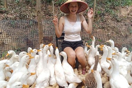 Conquering Duck massage at Duck Farm by Bicycle Tour