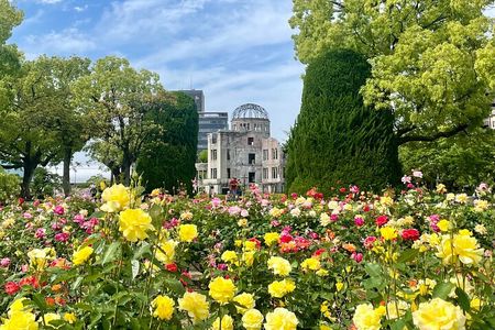 Hiroshima Peace Memorial and Highlights Private Tour with a Local