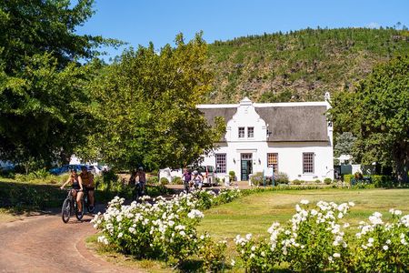 Franschhoek Half Day Winelands Mountain Bike Tour