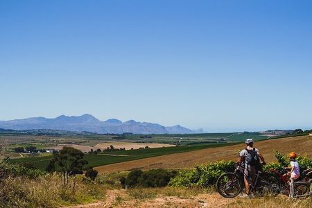 Stellenbosch Family Cycle Tour