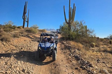 Guided UTV Sand Buggy Tour Phoenix