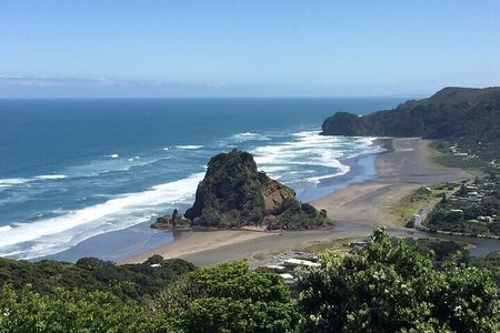 West Coast Discovery Piha Beach Private Tour 