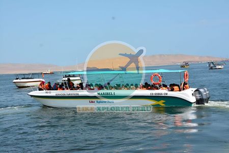 Ballestas Islands Tour for passengers of the Puerto San Martin Cruise