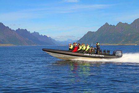 Lofoten RIB Sea Eagle Safari Trollfjord Cruise